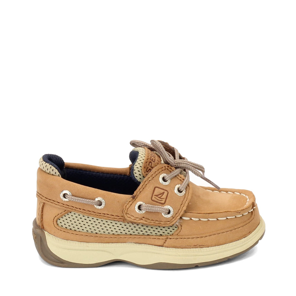 Boys sperry shoes online