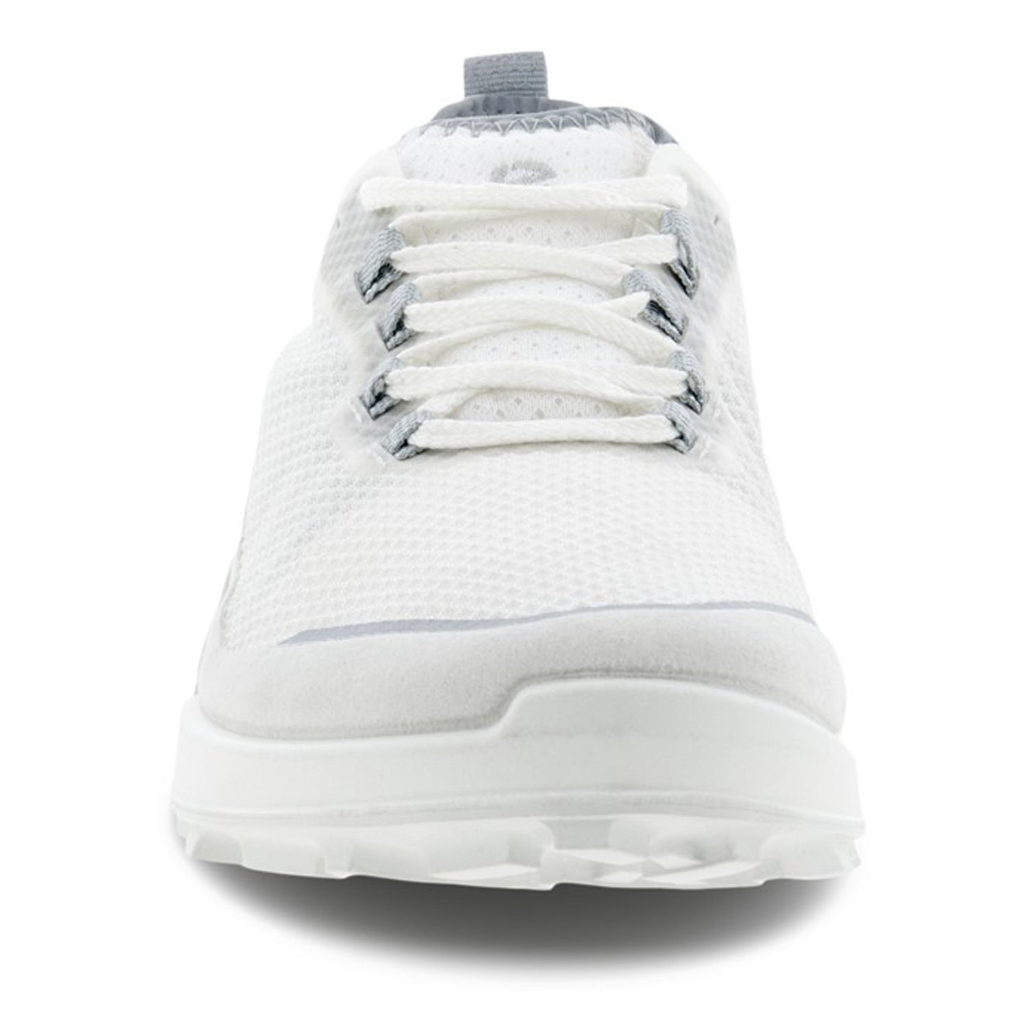 Ecco, Biom 2.1 Low Tex Hiking Shoe – Peltz Shoes